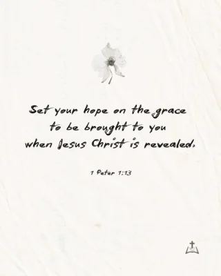 Instagram post from acbcollege. This post is in position 1.