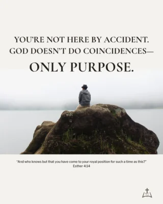 Instagram post from acbcollege. This post is in position 9.